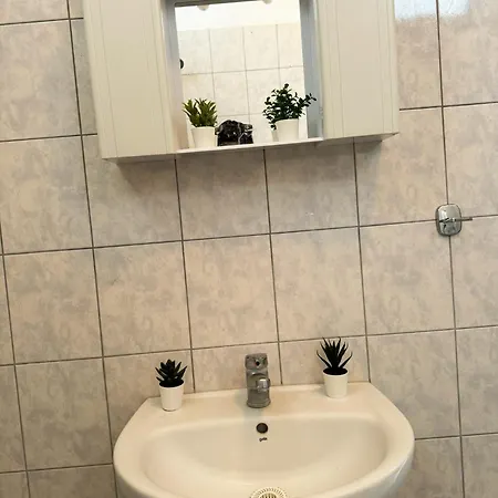 Apartment Dionis Flogita
