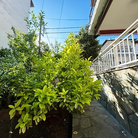 Apartment Dionis
